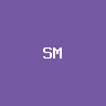 Super Micro Computer (bStocks 